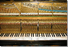 bechstein-piano-9-thum.jpg - 28685 Bytes